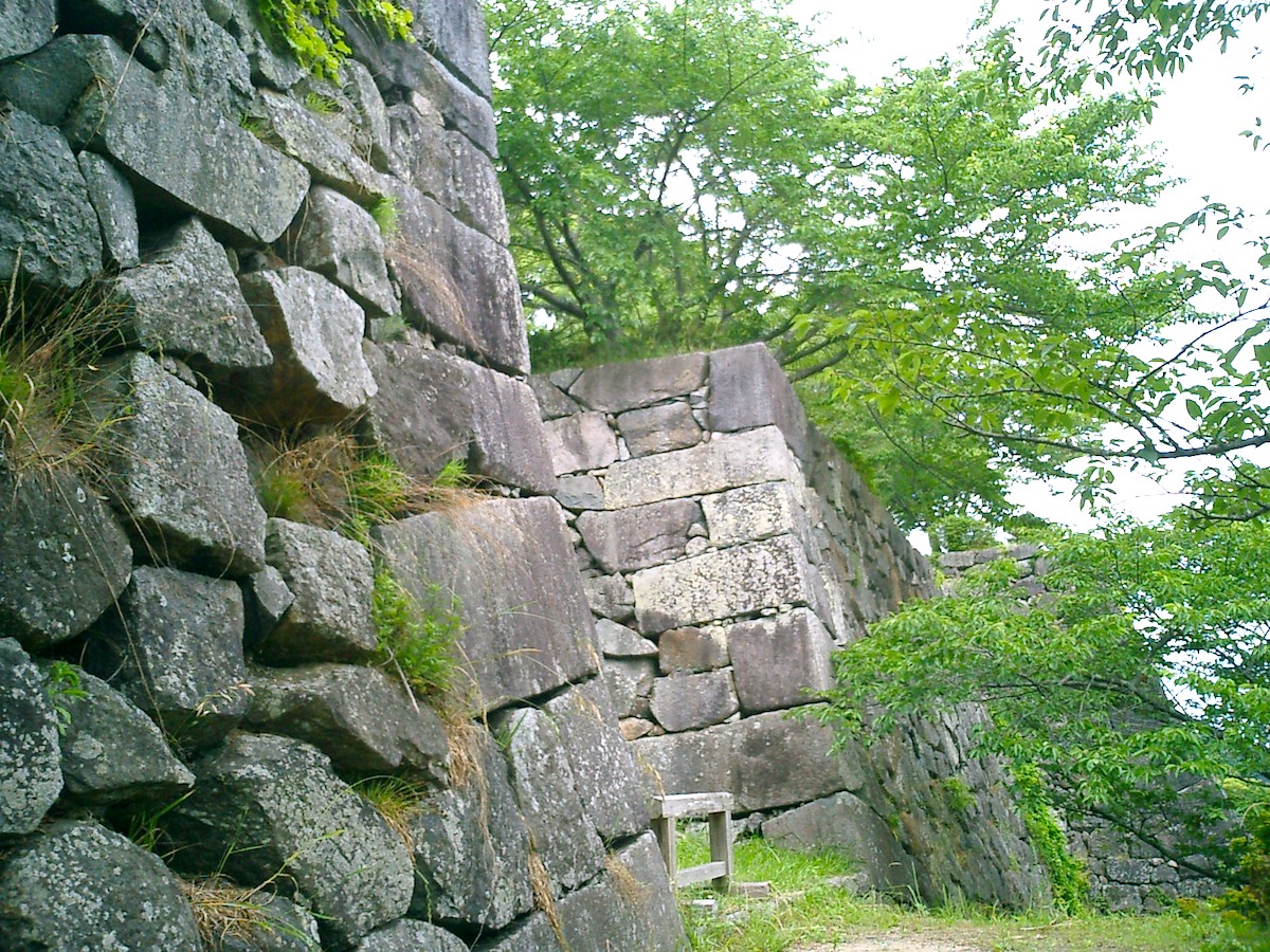 篠山城