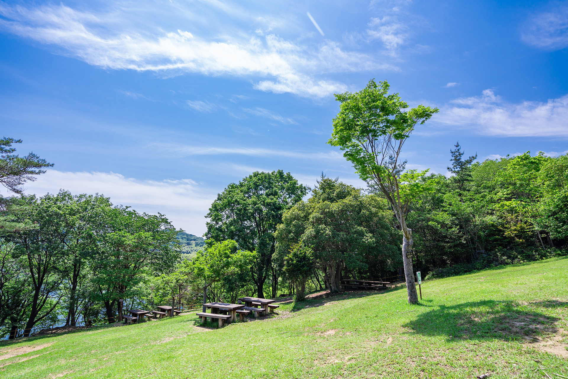 姫路市自然観察の森