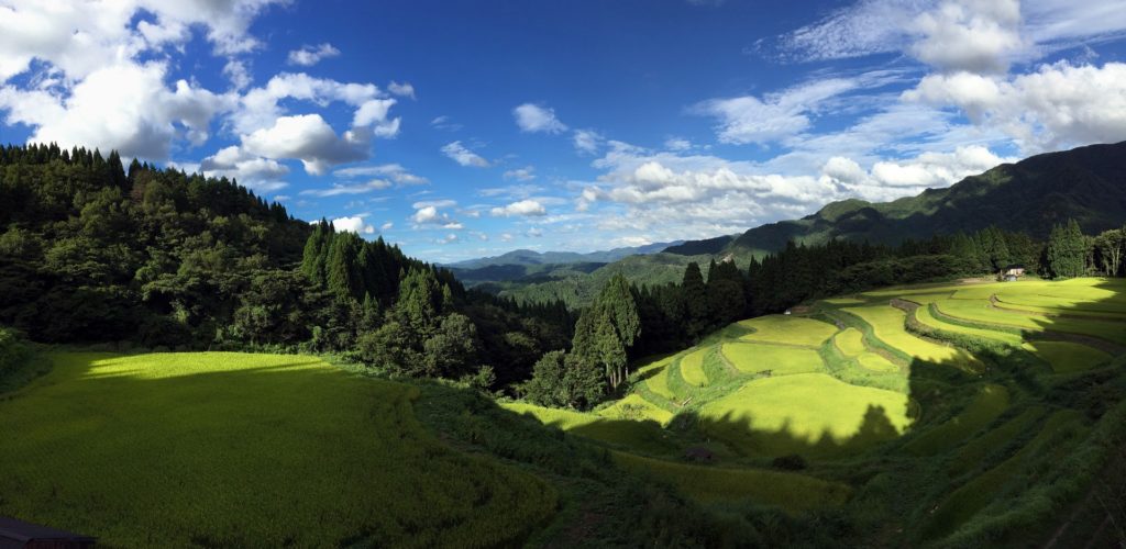 うへ山の棚田