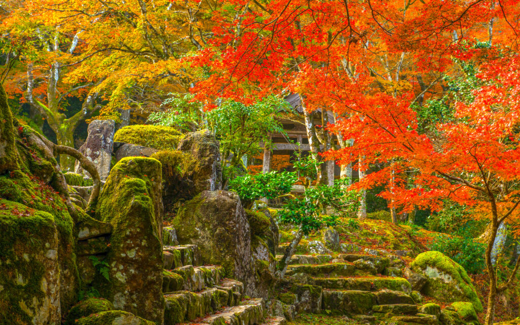 高源寺