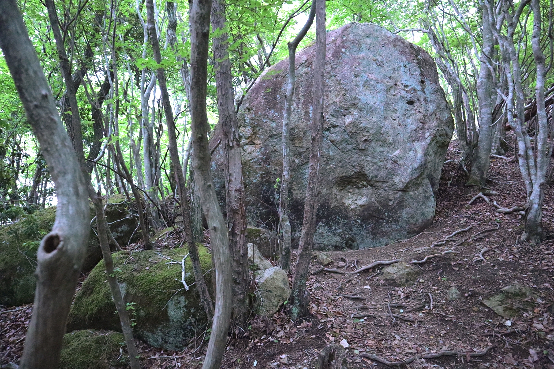 大野山岩めぐりコース