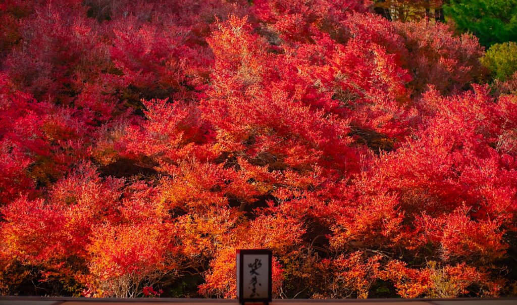 安国寺