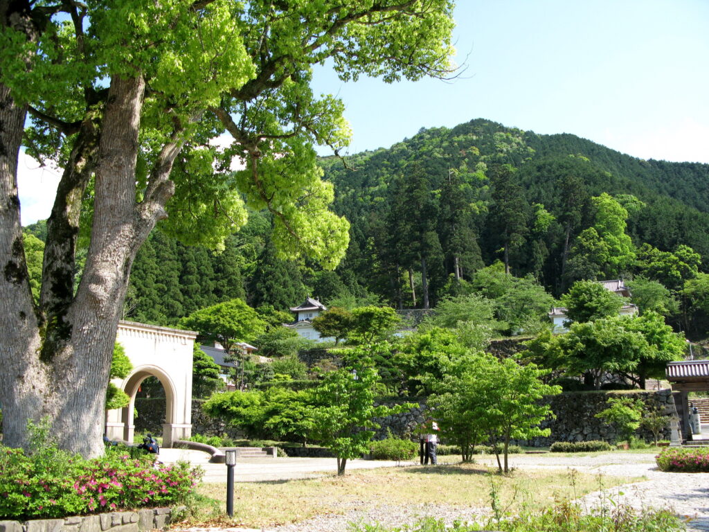 有子山城