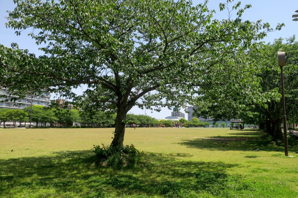 御崎公園