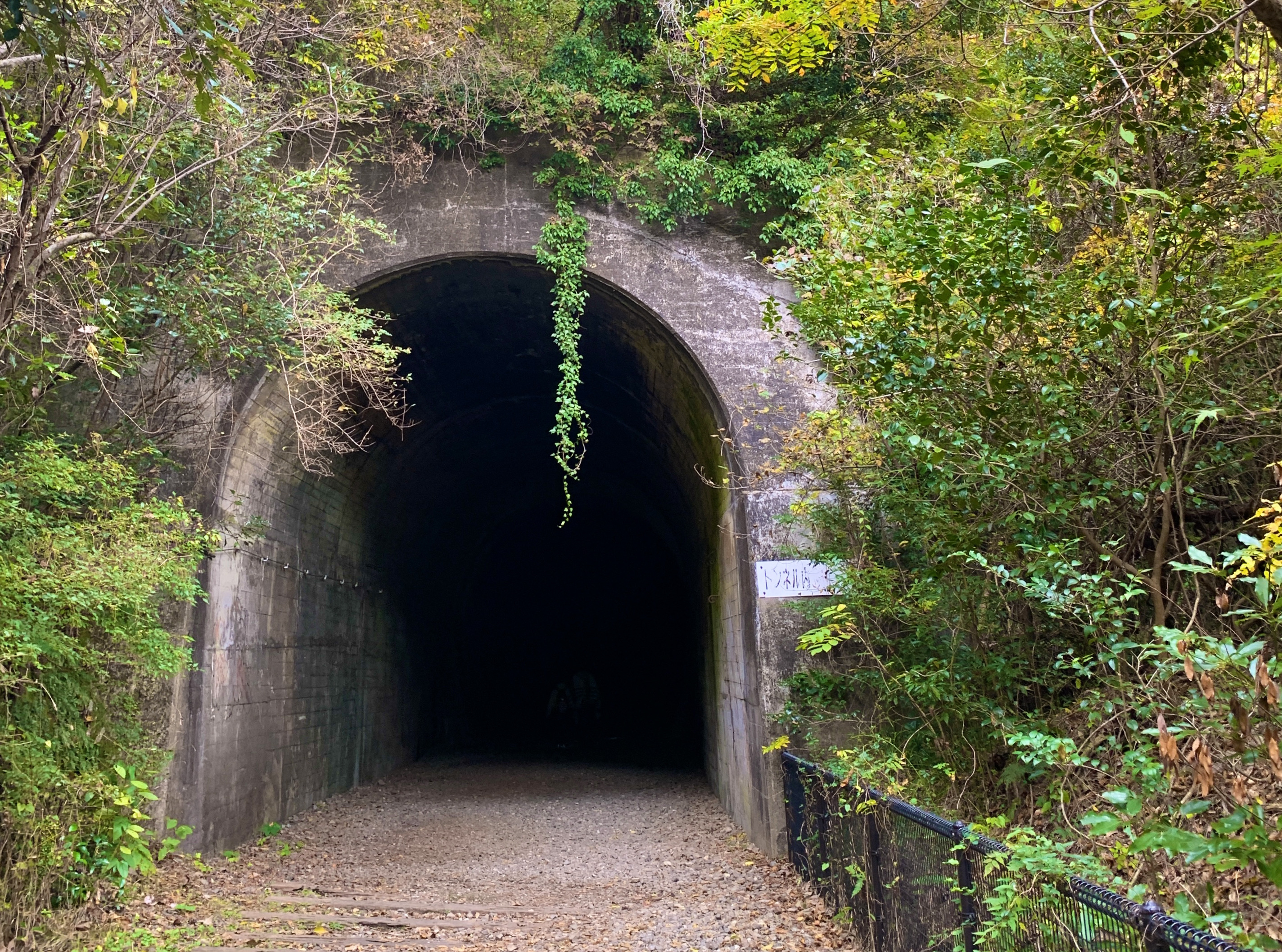 JR福知山線廃線敷・北山第二トンネル
