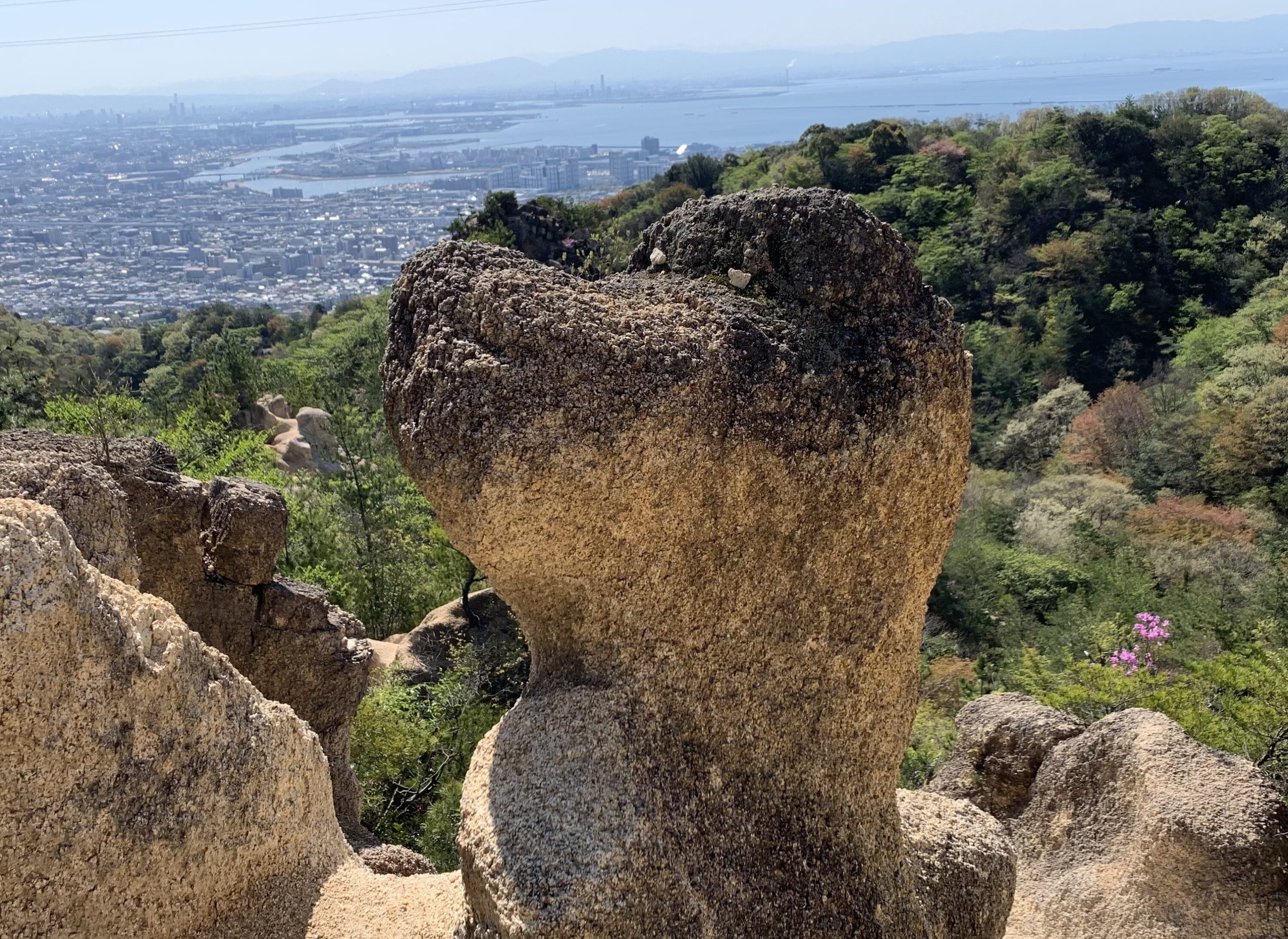 六甲山・スヌーピー岩