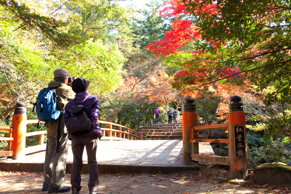 紅葉谷公園