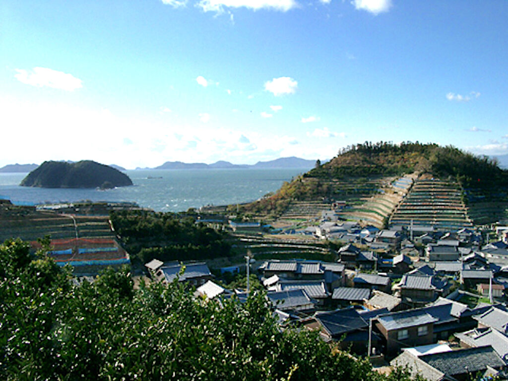 鹿島の段々畑
