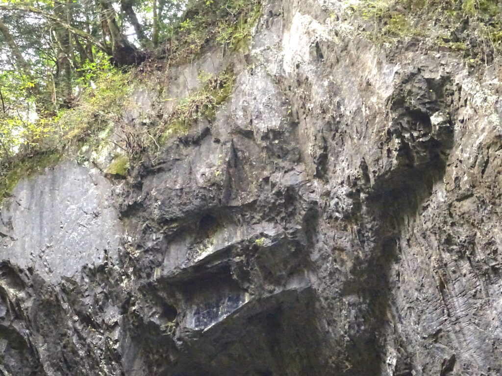 雄橋