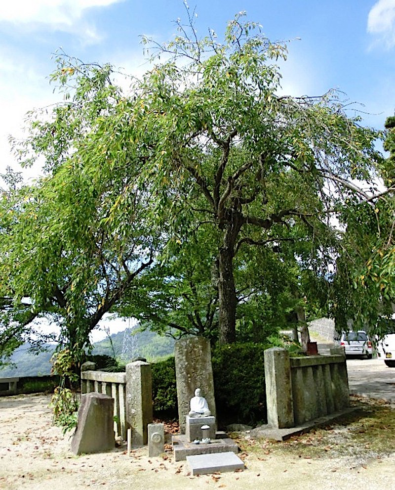 宝積寺