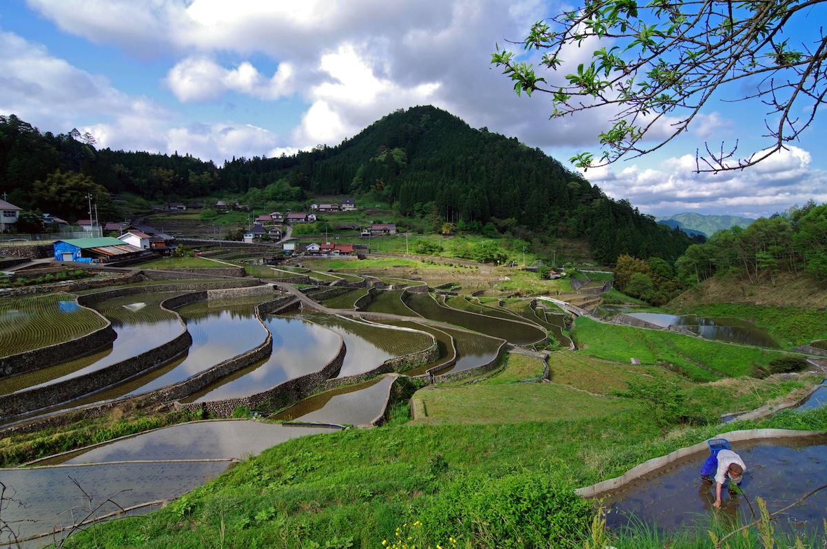 井仁の棚田