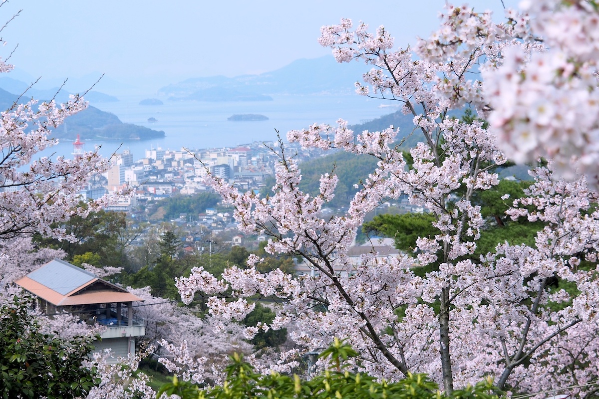 千光寺公園