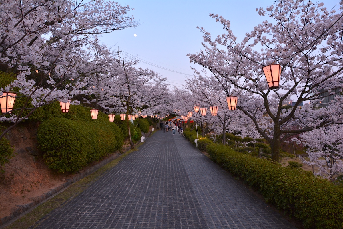 千光寺公園
