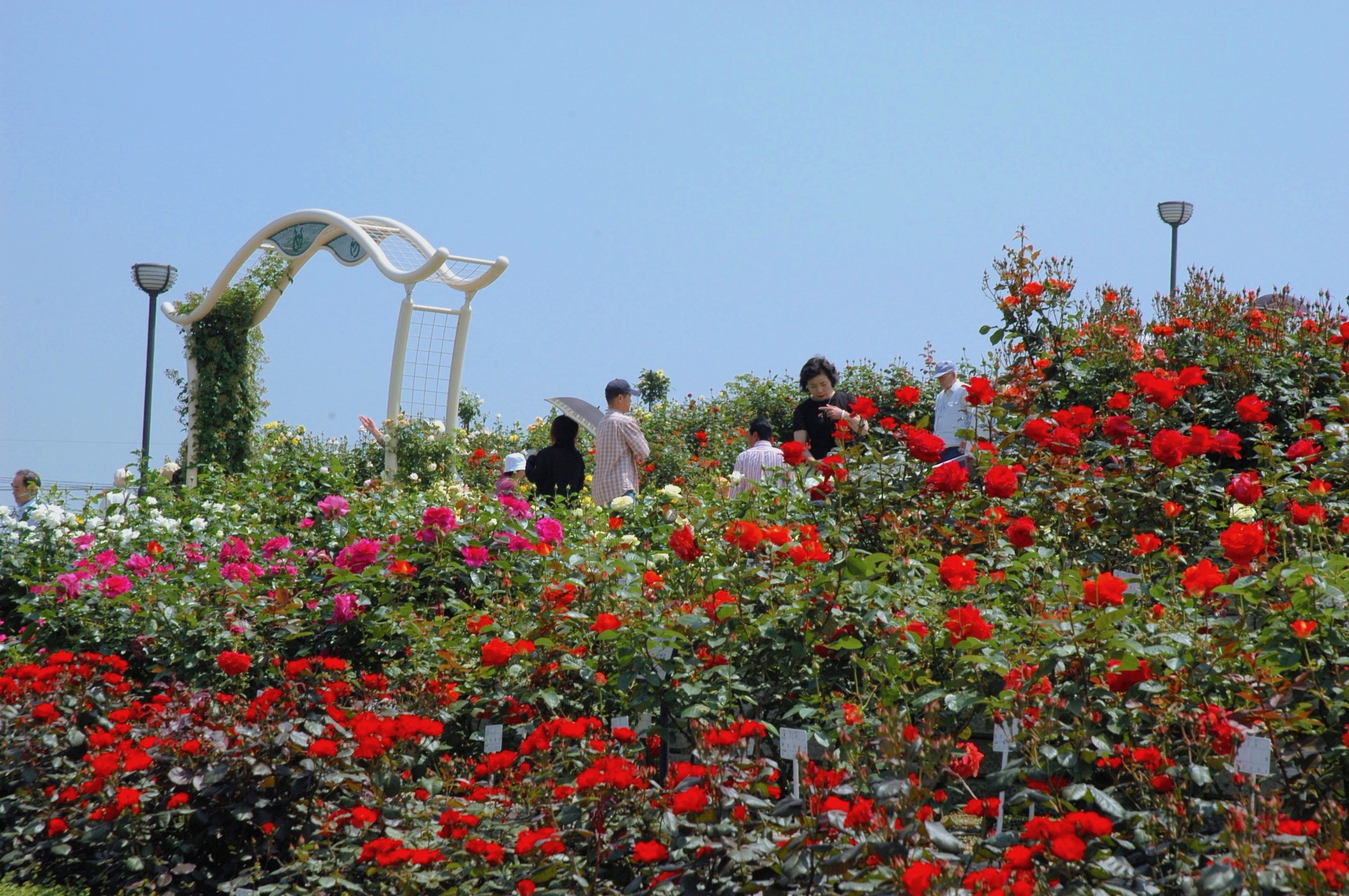 緑町公園