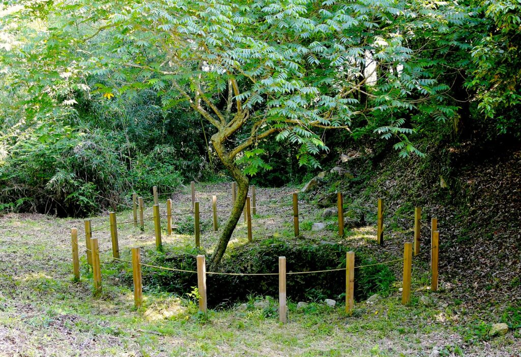 新高山城