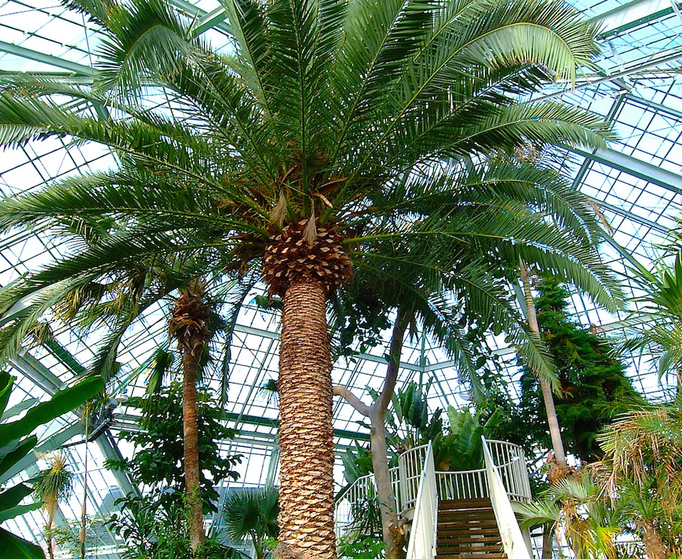 函館市営熱帯植物園