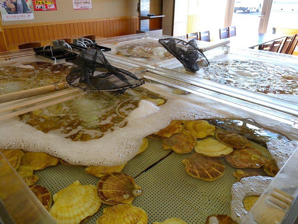 オスコイ!かもえない