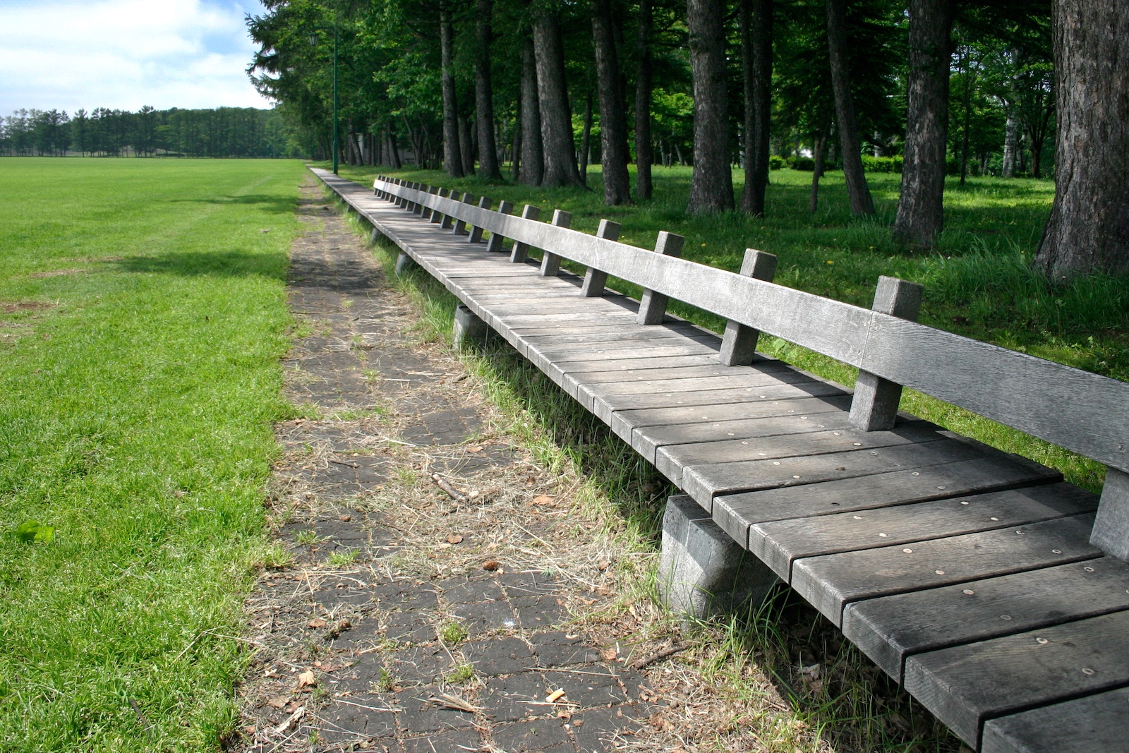緑ヶ丘公園