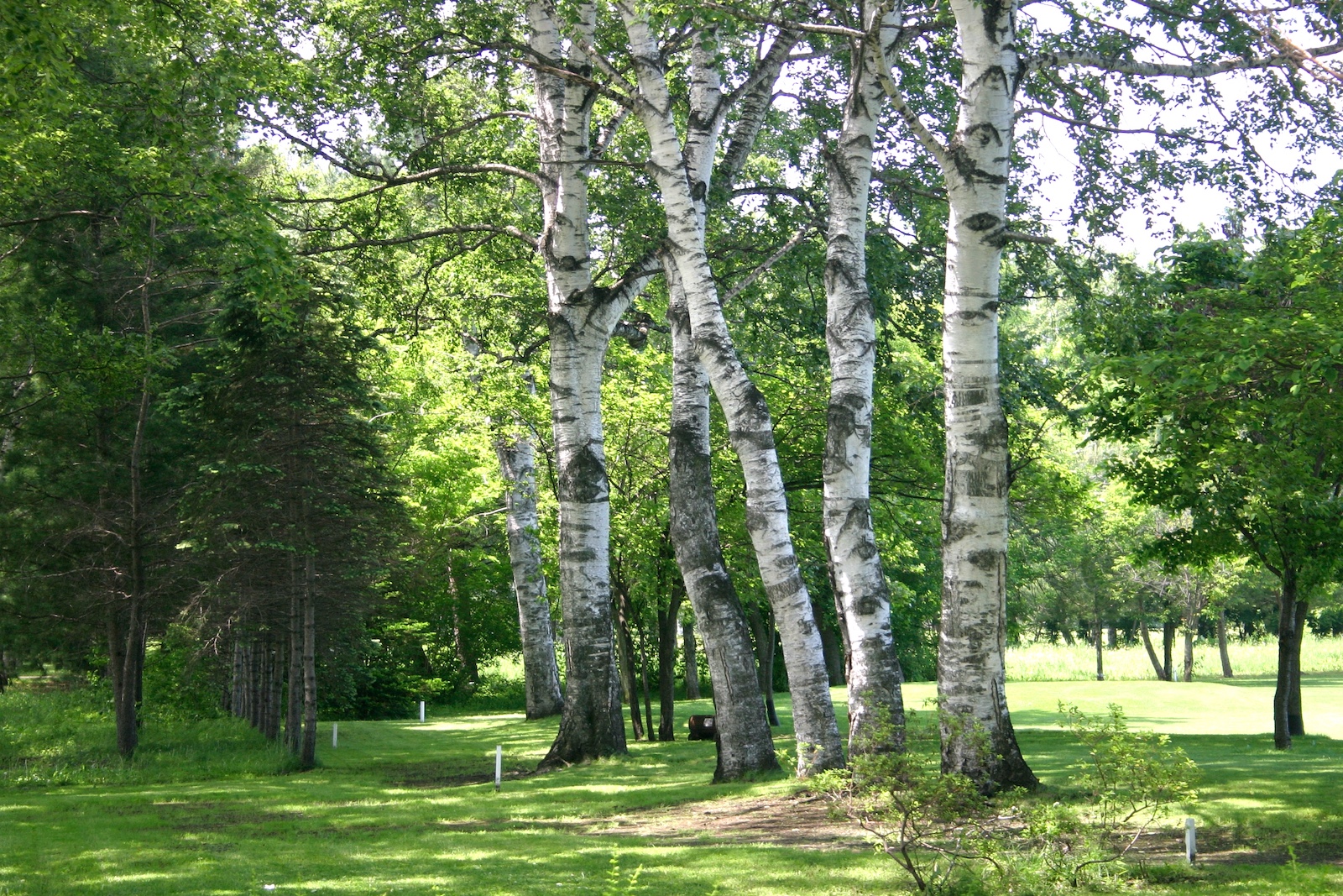 緑ヶ丘公園
