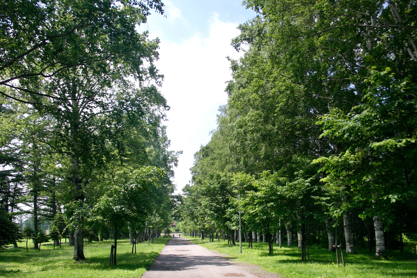 緑ヶ丘公園