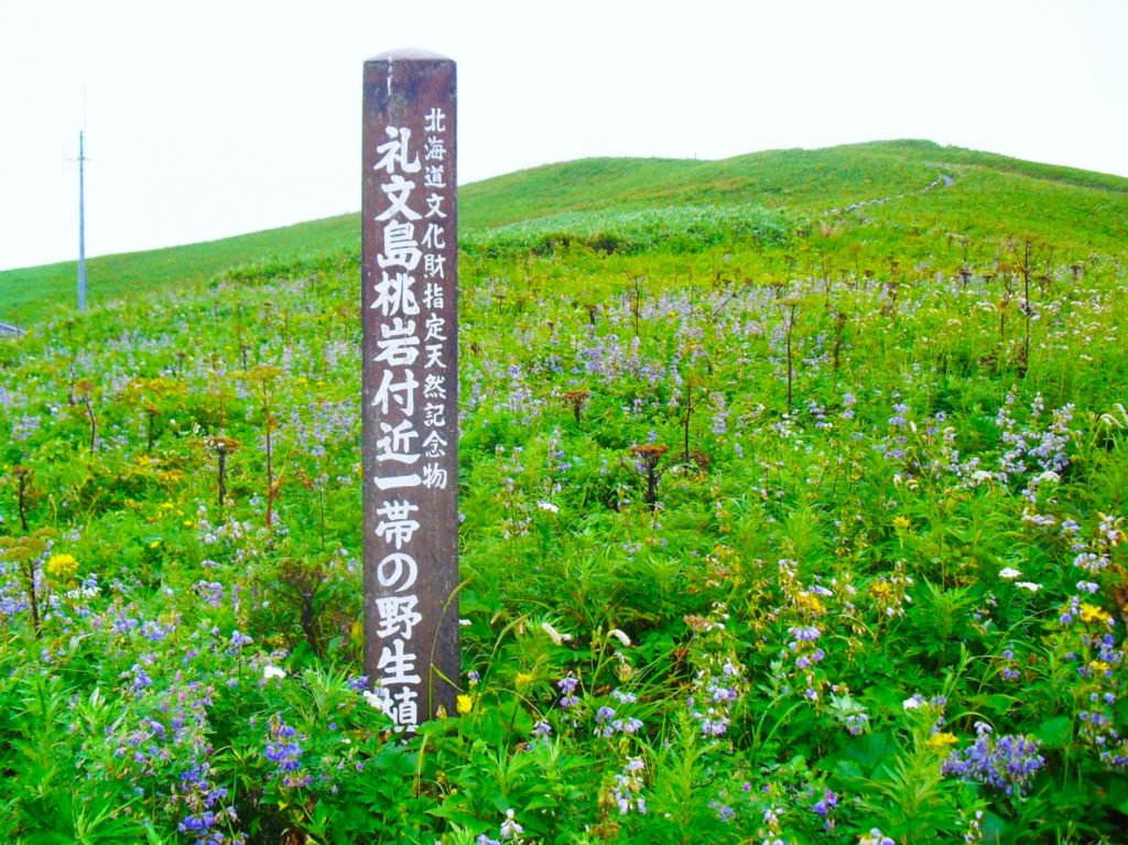 桃岩展望台