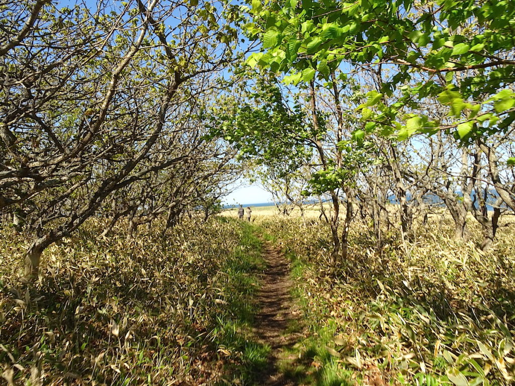 ノツカマフ1・2号チャシ跡（根室半島チャシ跡群）