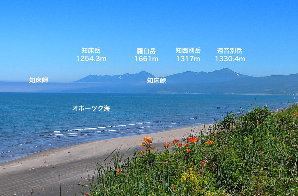 以久科原生花園