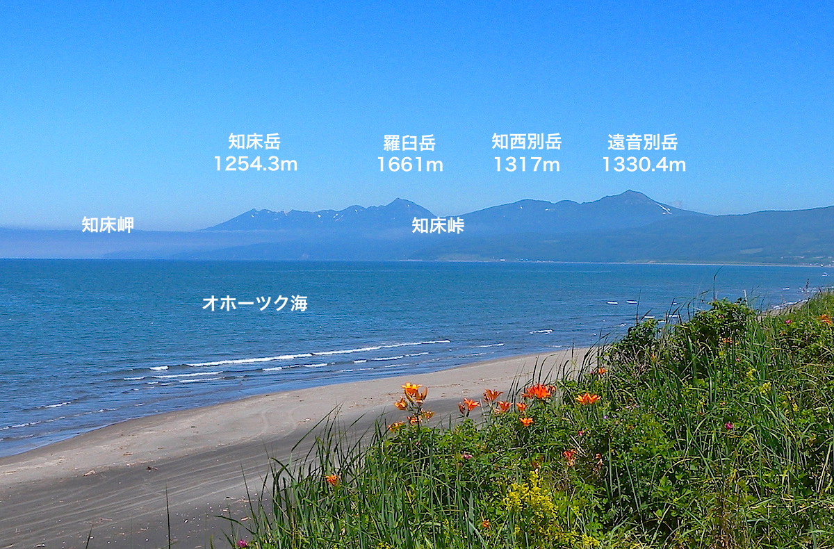 以久科原生花園