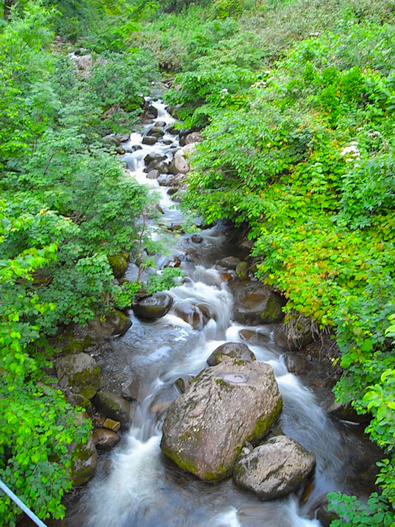 雨竜沼湿原
