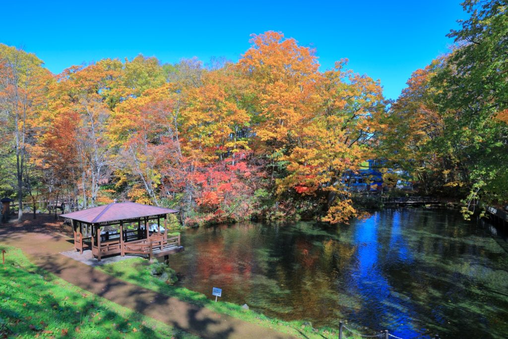 ふきだし公園（羊蹄のふきだし湧水）