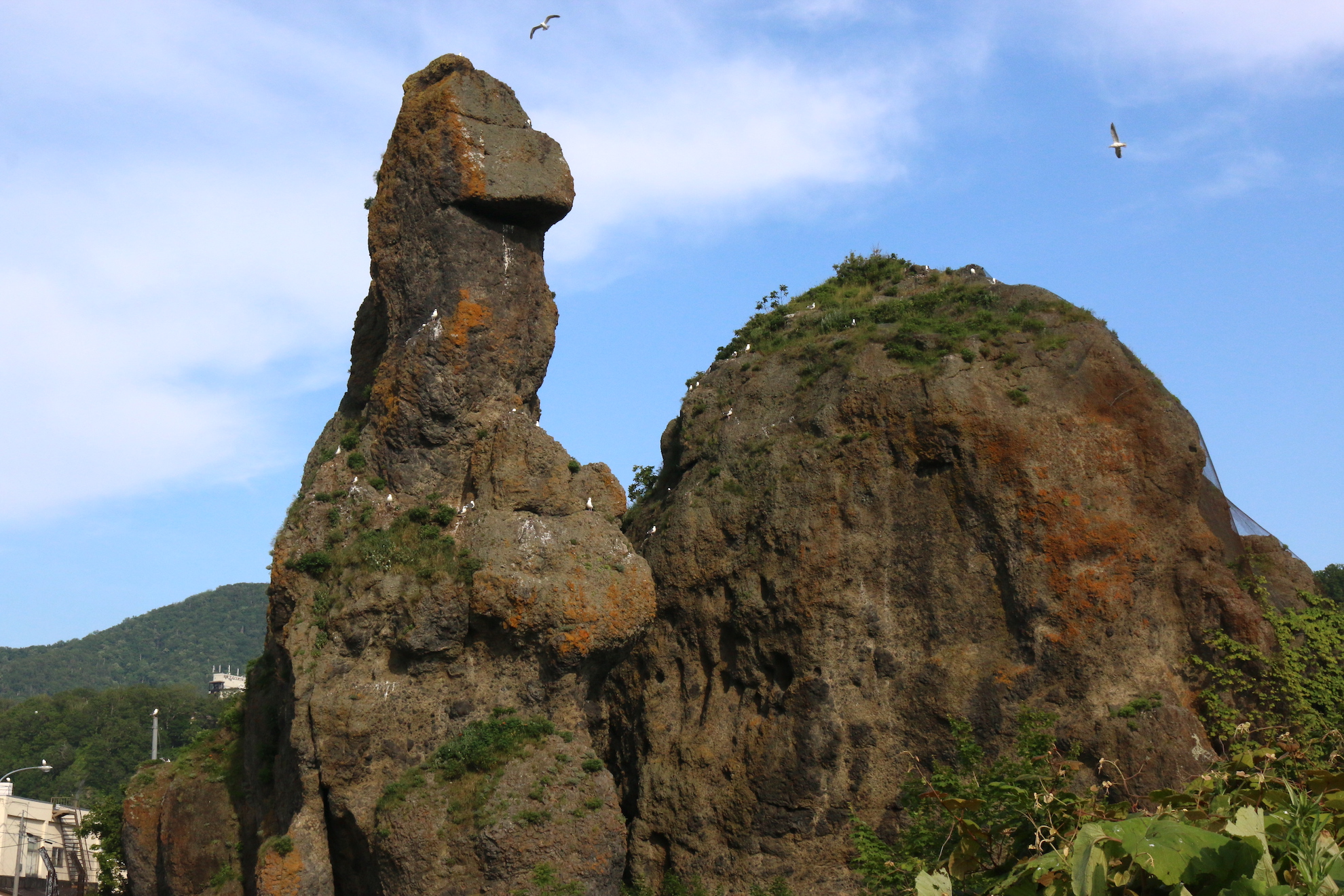 ウトロ・ゴジラ岩