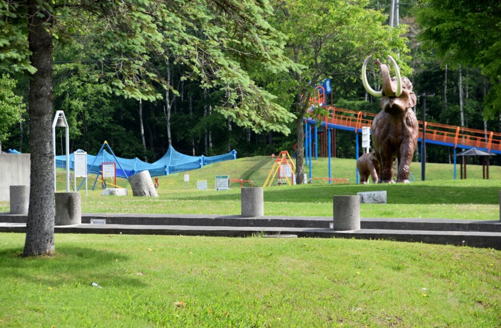 ナウマン公園