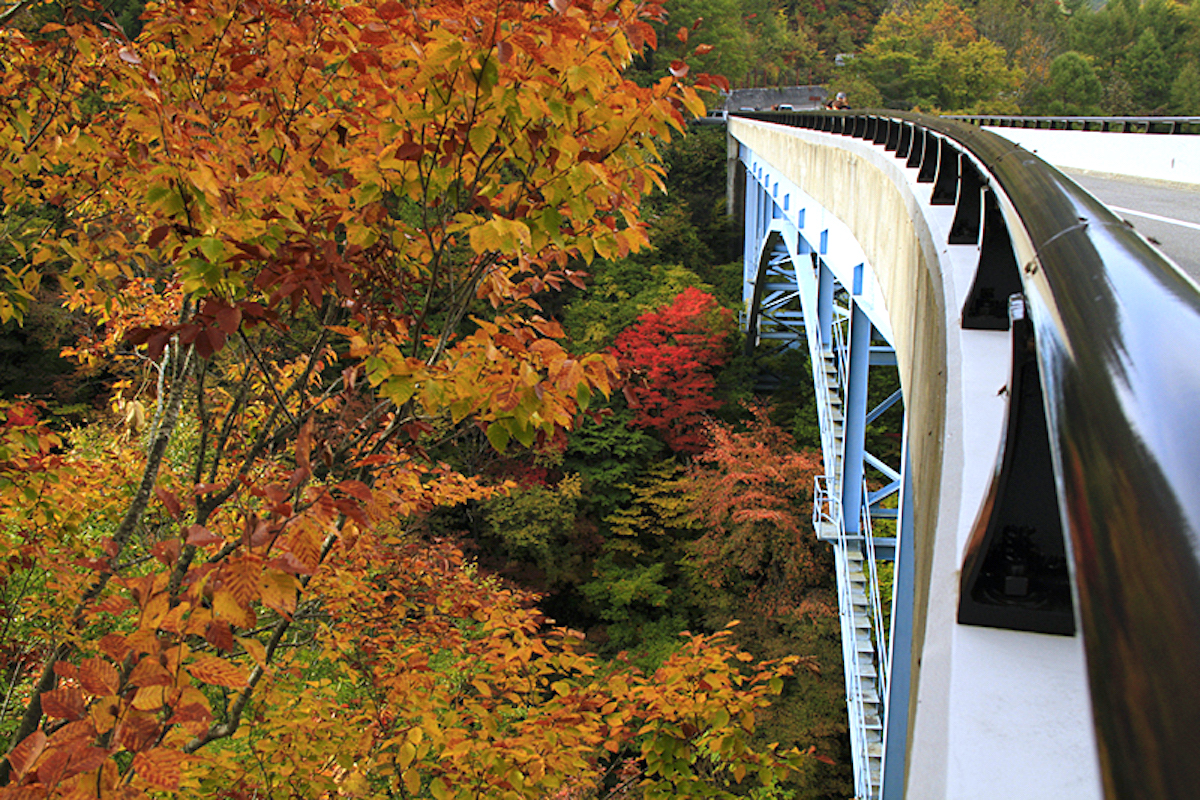 中津川渓谷・中津川橋