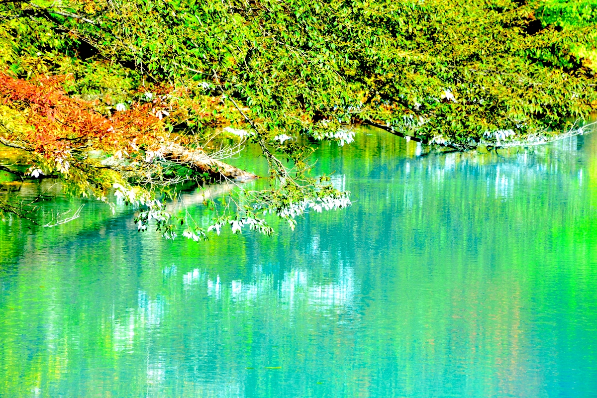 青沼