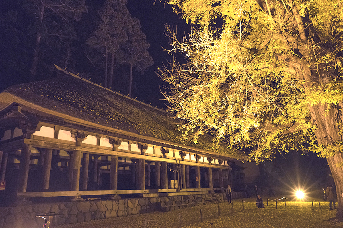 新宮熊野神社