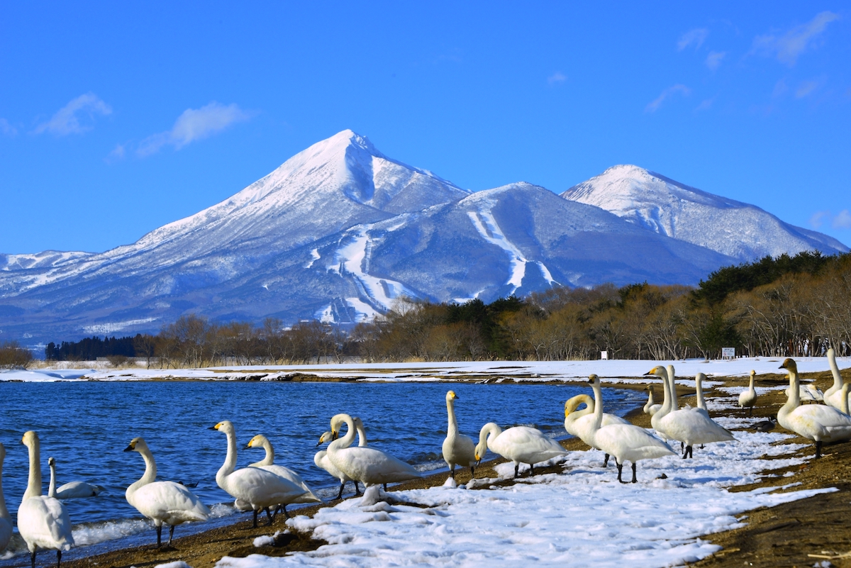 猪苗代湖・志田浜