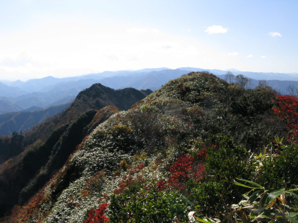 阿賀野川