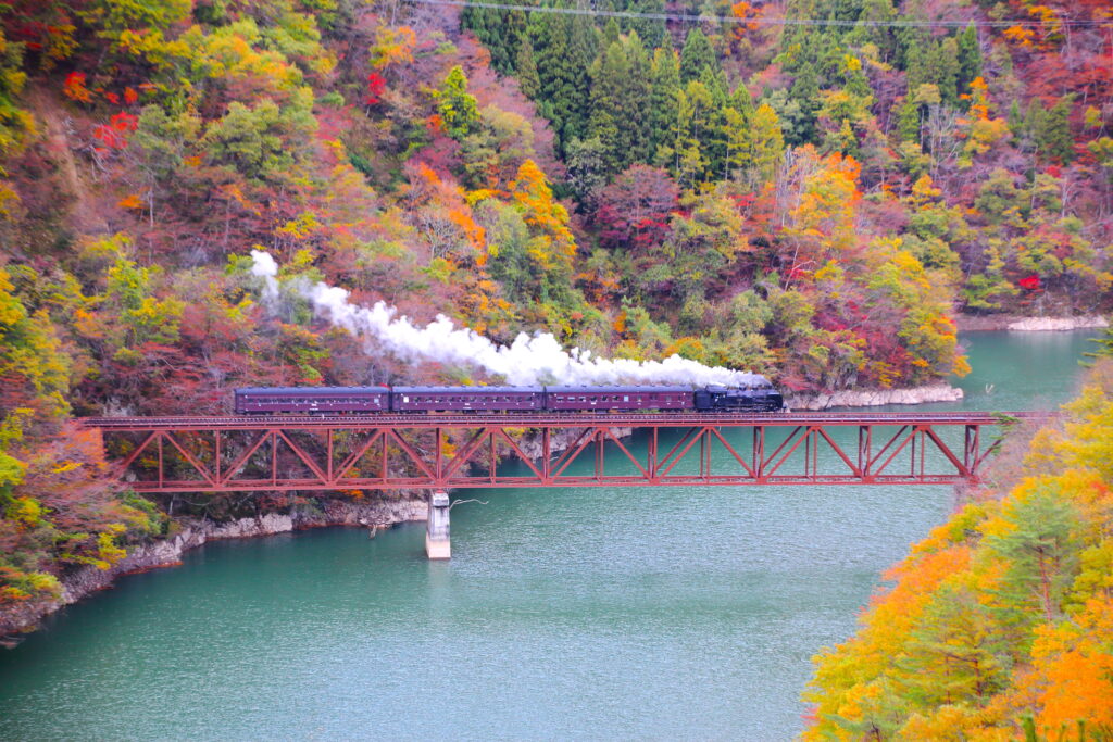 HS034001-1024x683.jpg