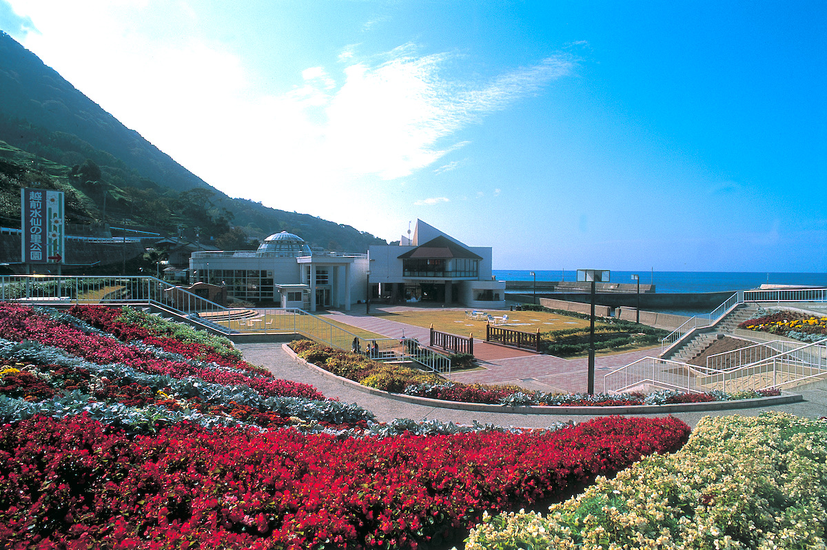 越前水仙の里公園