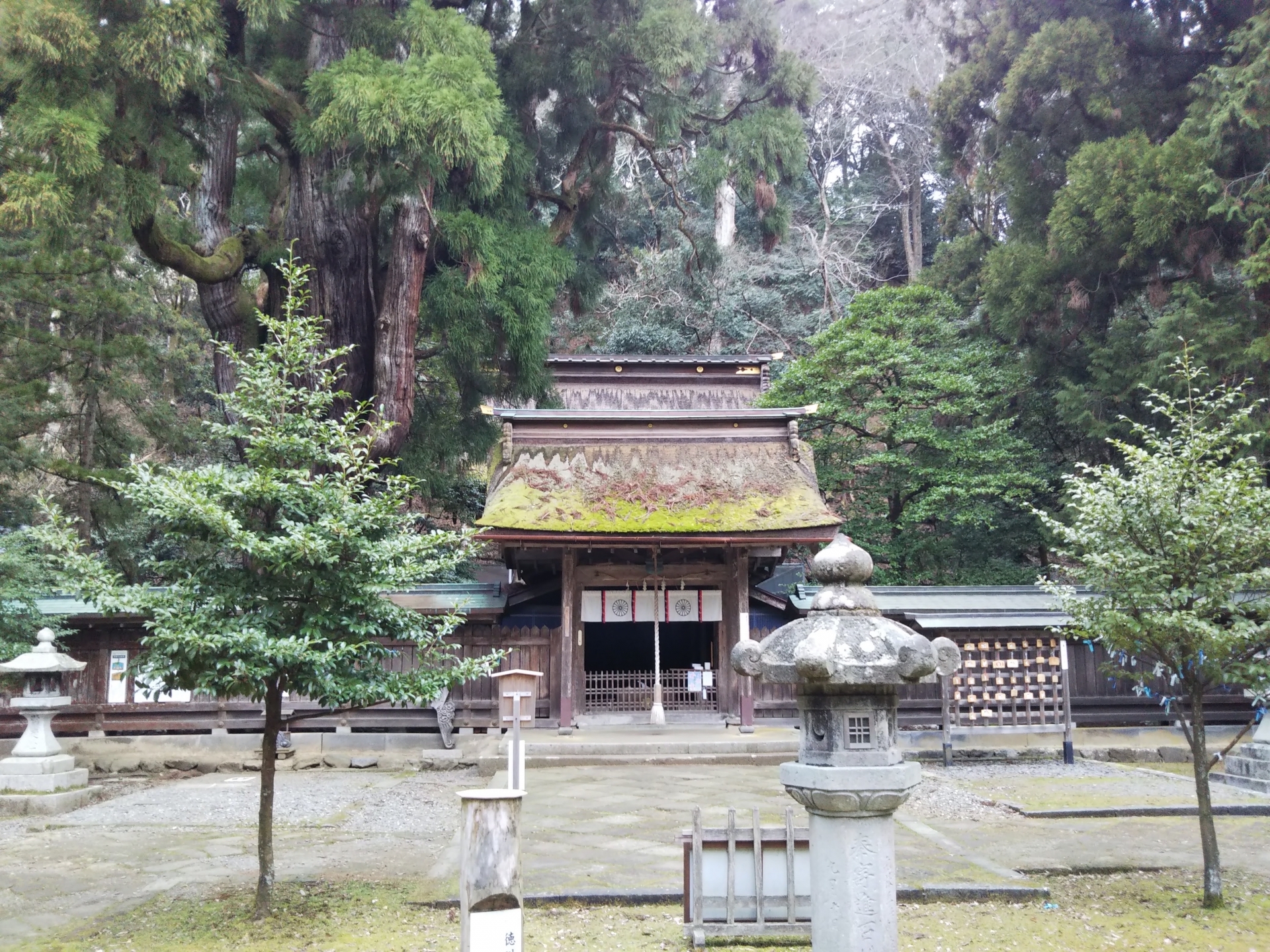 若狭姫神社