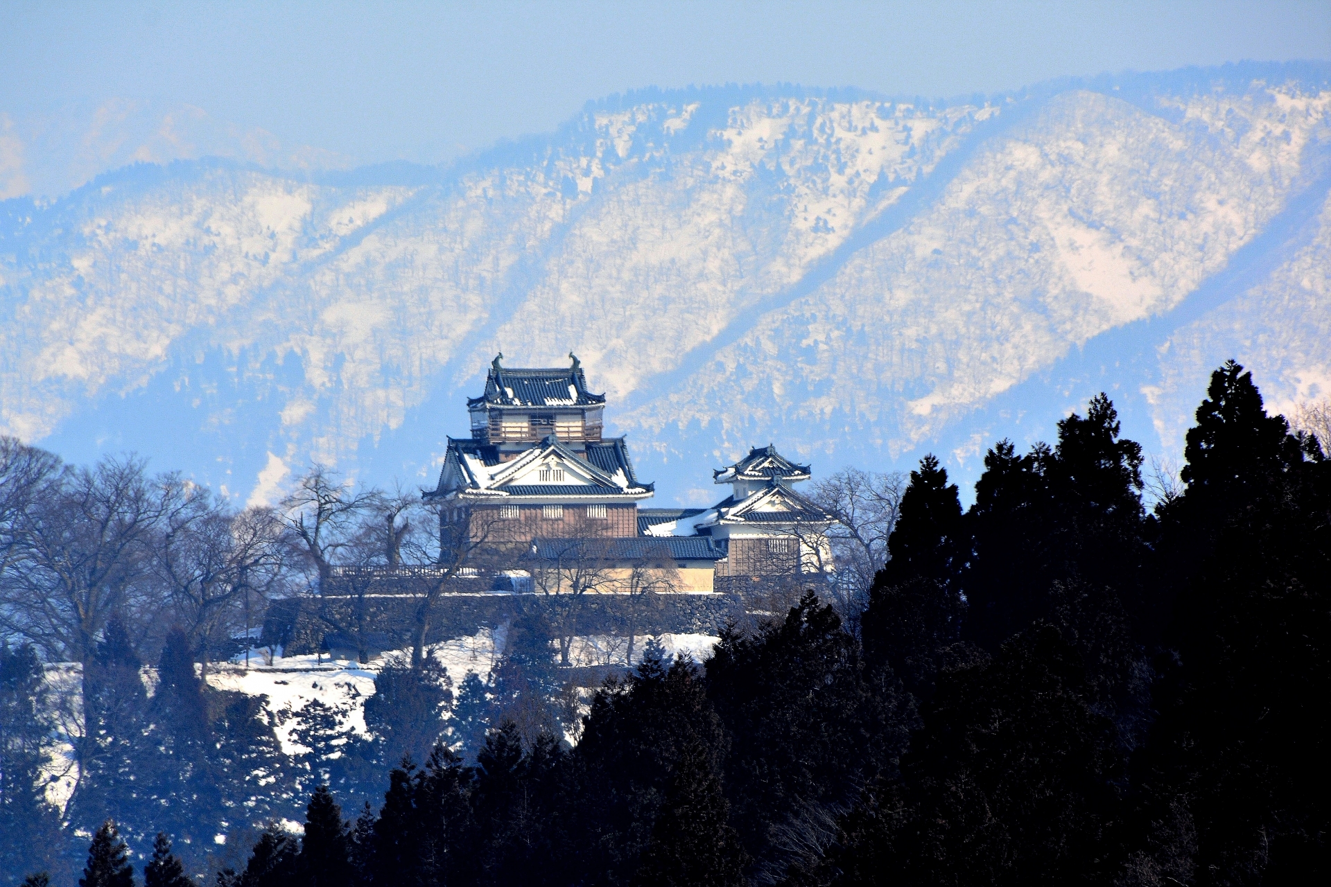 越前大野城