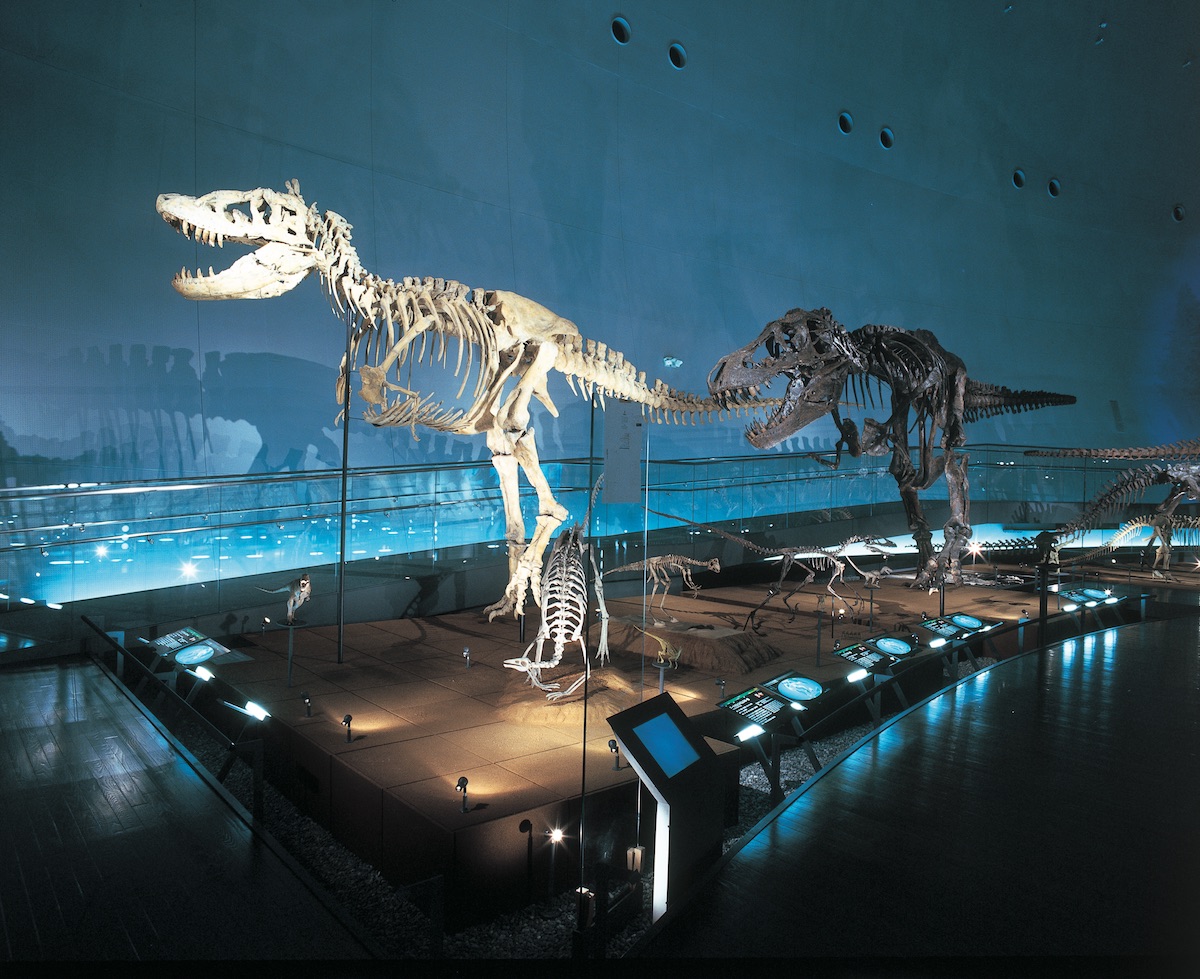 [最も人気のある！] 恐竜 博物館 福岡 218104-福岡市 博物館 恐竜 - Blogjpmbahe40gw