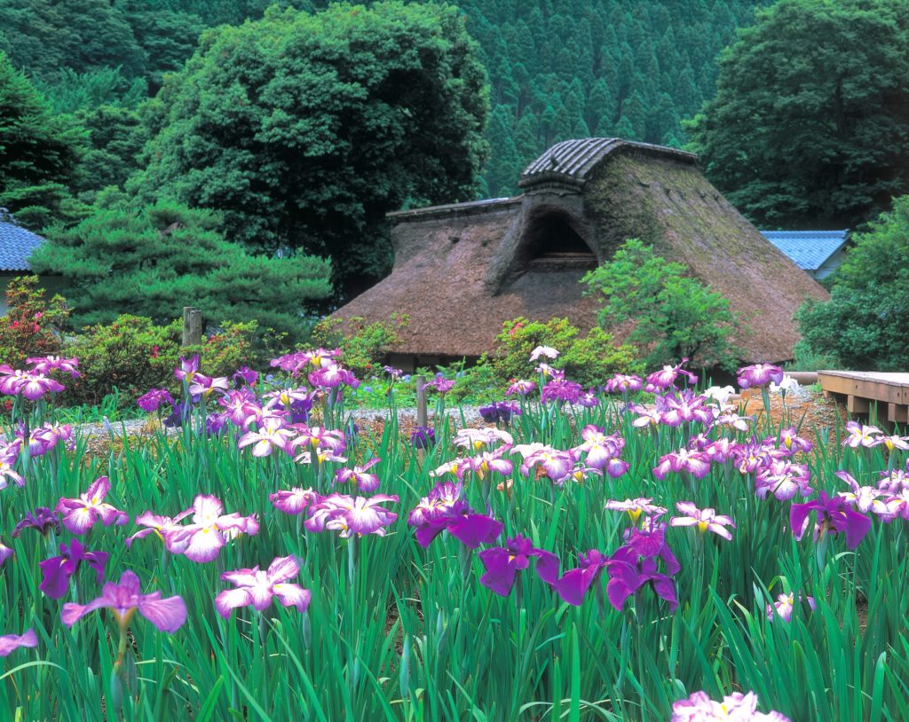 千古の家（坪川家住宅）