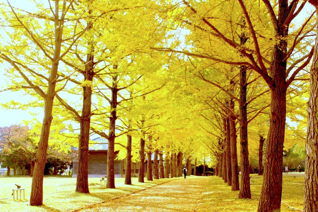 茨城県立歴史館