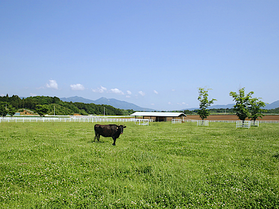 茨城県畜産センター