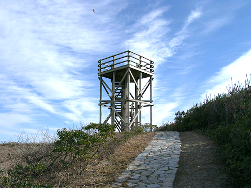 波崎海岸砂丘植物公園