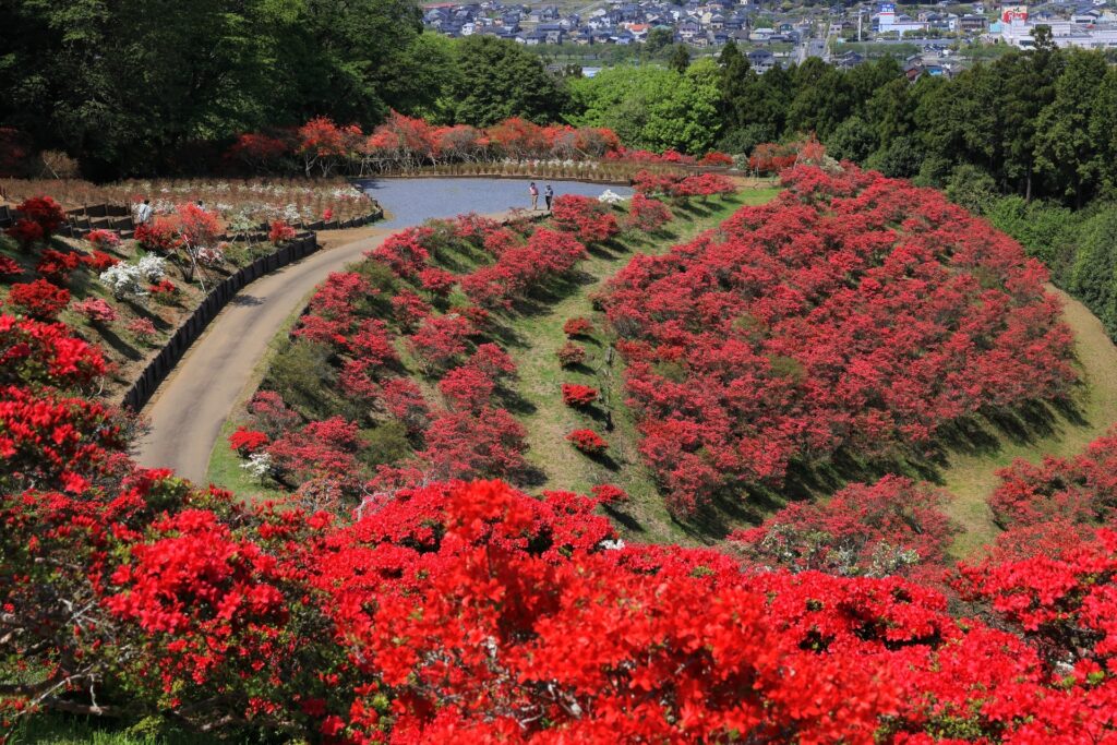 笠間つつじ公園