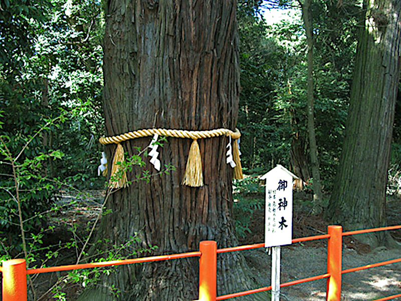 息栖神社