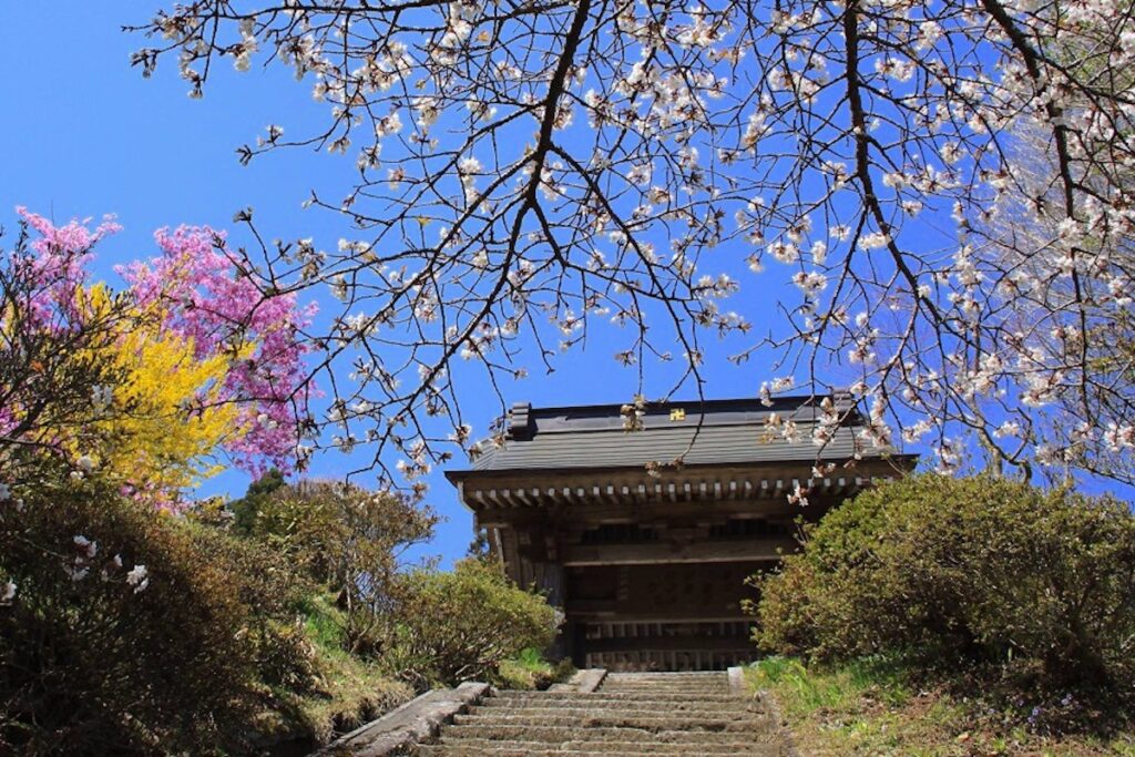 松岩寺のヤマザクラ