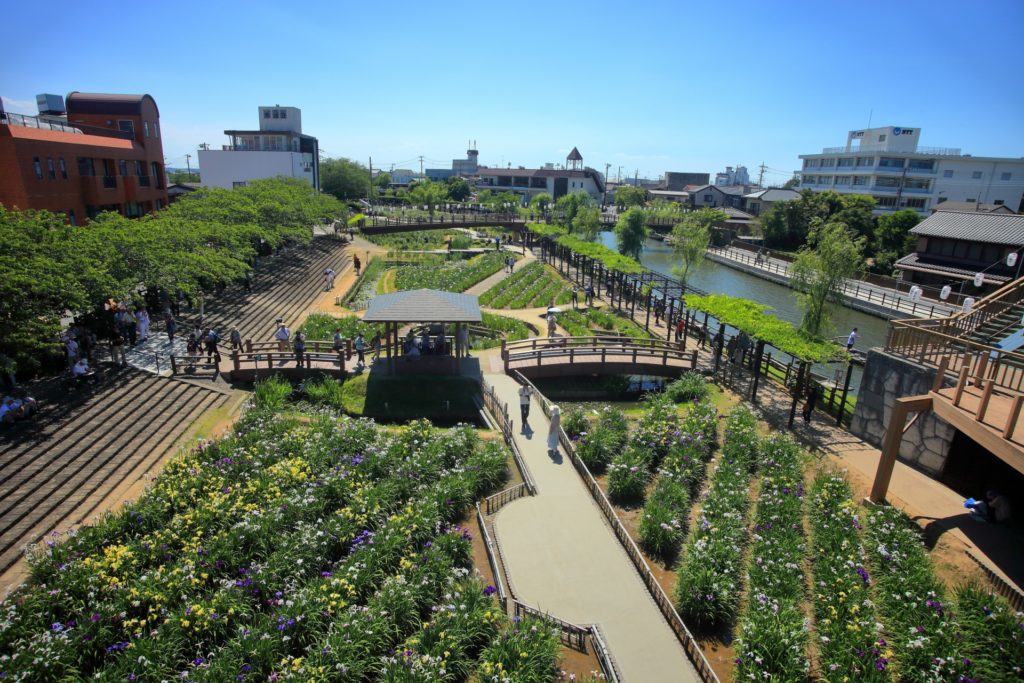 水郷潮来あやめ園